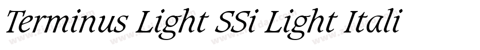 Terminus Light SSi Light Italic字体转换